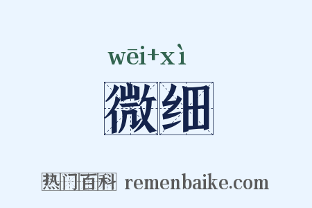 微细是什么意思的图片